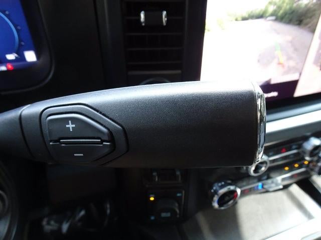 2025 Ford Super Duty F-350 SRW Platinum