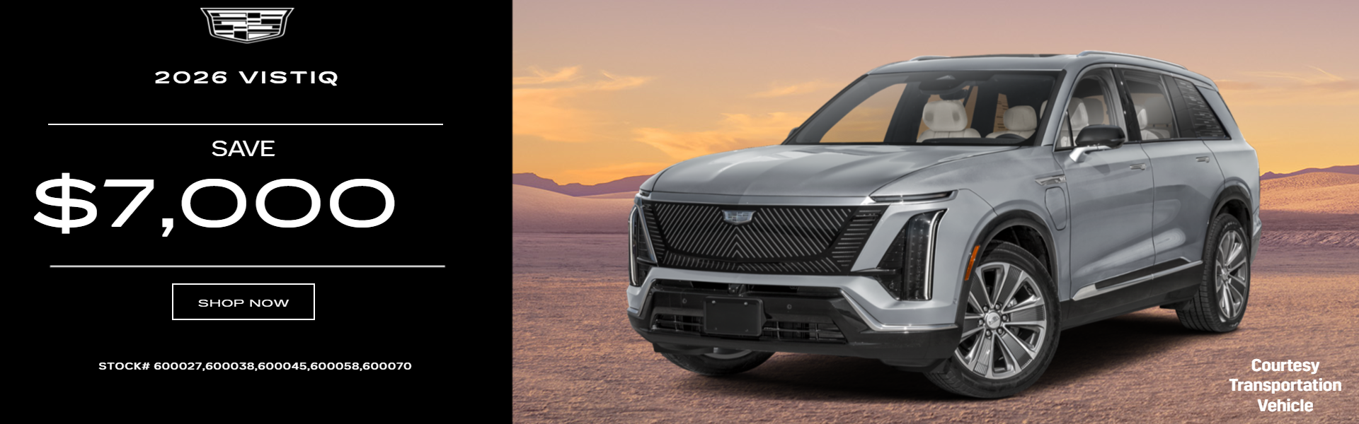 2026 Vistiq