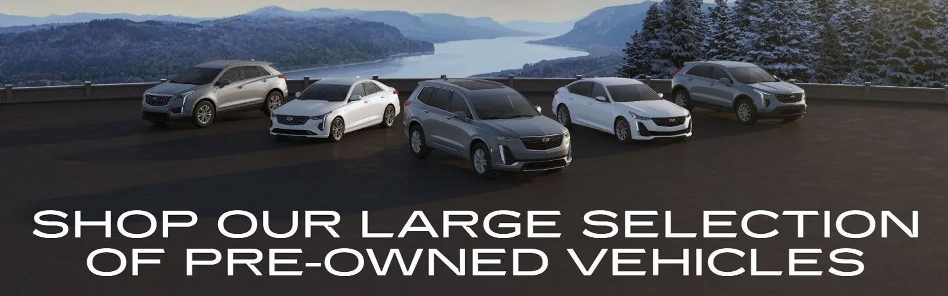 Shop Our Large Selection of Pre-Owned Vehicles